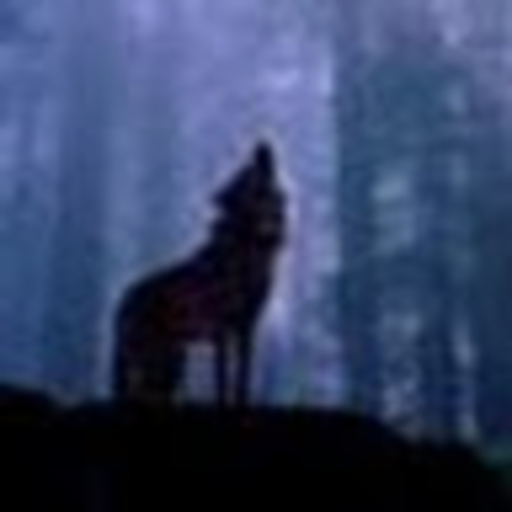 Meet your Posher, Misty